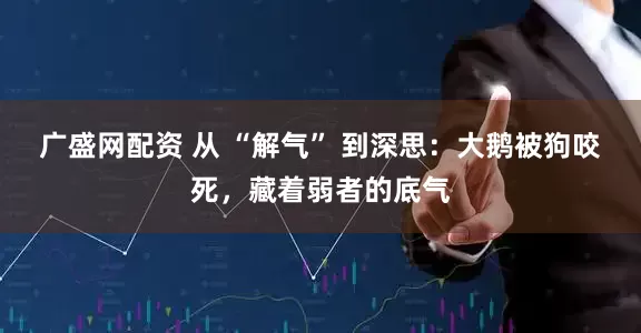 广盛网配资 从 “解气” 到深思：大鹅被狗咬死，藏着弱者的底气